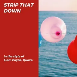 Karaokekappaleen Strip That Down - Liam Payne,Quavo kansikuva