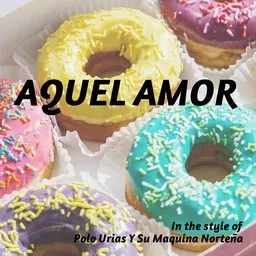 Polo Urias Y Su Maquina Norteña - Karaoke