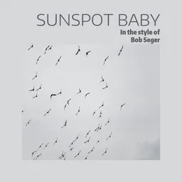Cover art for Sunspot Baby - Bob Seger karaoke version