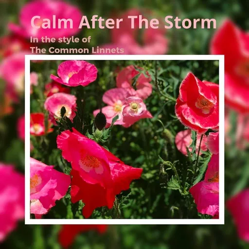 Karaoke Calm After The Storm by The Common Linnets — sing along with lyrics on Singa