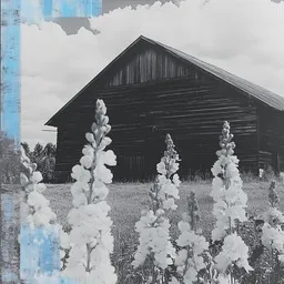 Cover art for Vanhan veräjän luona - Eila Pienimäki karaoke version