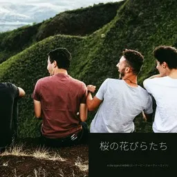 Cover art for 桜の花びらたち - AKB48 (エーケービーフォーティーエイト) karaoke version