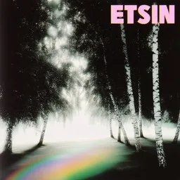 Titelbild für Etsin - Rainer Bollström Karaoke-Version