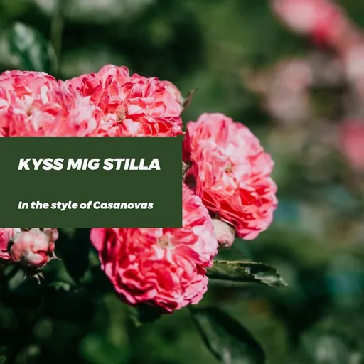 Karaoke Kyss mig stilla by Casanovas — sing along with lyrics on Singa