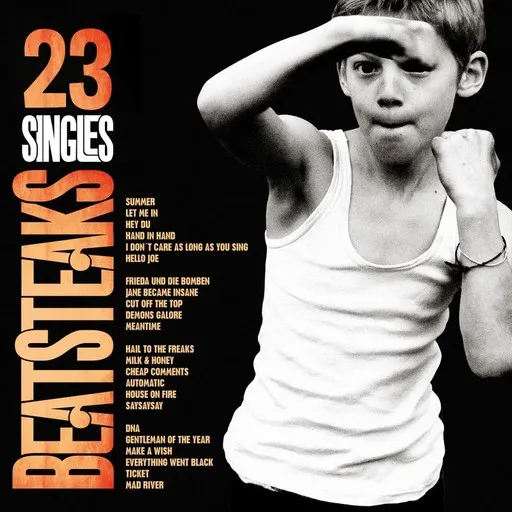 Karaoke I Don't Care As Long As You Sing av Beatsteaks — sjung med på texten på Singa