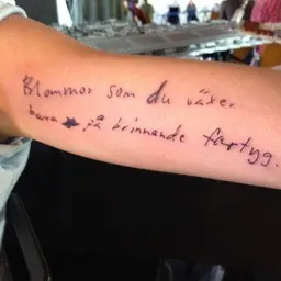 Cover art for Blommor på brinnande fartyg - Bob Hund karaoke version