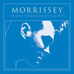 Cover art for Hairdresser on Fire - Morrissey karaoke version