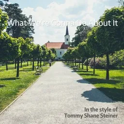Titelbild für What We're Gonna Do About It - Tommy Shane Steiner Karaoke-Version