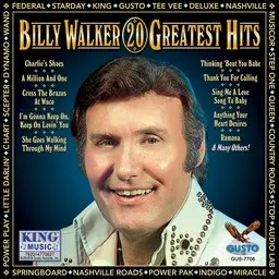 Billy Walker - Karaoke