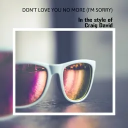 Titelbild für Don't Love You No More (i'm Sorry) - Craig David Karaoke-Version