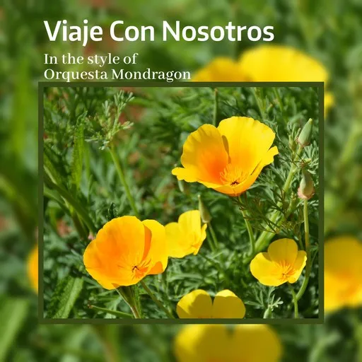 Karaoke Viaje Con Nosotros av Orquesta Mondragon — sjung med på texten på Singa