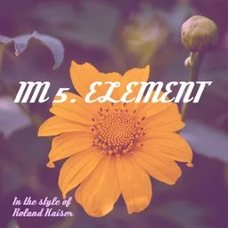 Cover art for Im 5. Element - Roland Kaiser karaoke version