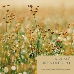 Karaokekappaleen Gdzie są przyjaciele moi - Maciej Maleńczuk,Yugopolis kansikuva