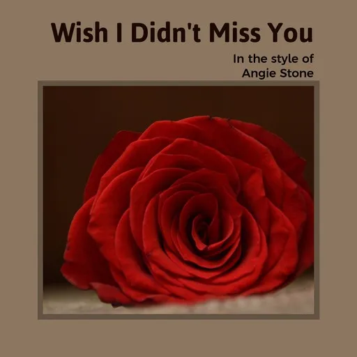 Wish I Didn't Miss You - Karaoke