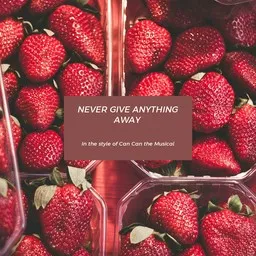Cover art for Never Give Anything Away - Can Can the Musical karaoke version