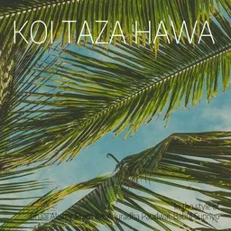 Cover art for Koi Taza Hawa - Anuradha Paudwal,Babul Supriyo,Dhaai Akshar Prem Ke karaoke version