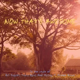 Cover art for Now That's Awesome - Bill Engvall,Neal McCoy,T. Graham Brown,Tracy Byrd karaoke version