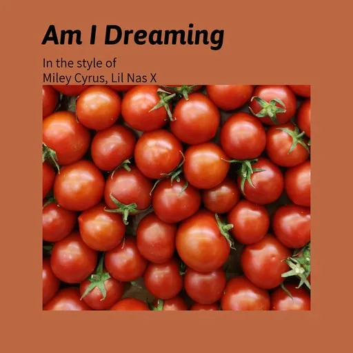 Karaoke Am I Dreaming esittäjältä Lil Nas X, Miley Cyrus — laula mukana sanoituksilla Singassa