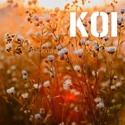 Cover art for Koi - Back number (バックナンバー) karaoke version