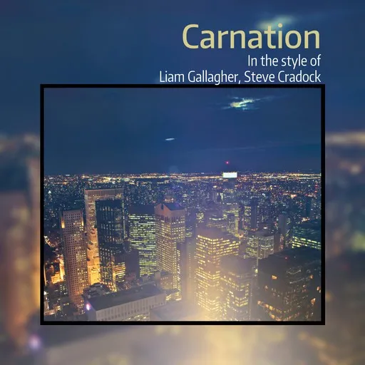 Karaoke Carnation von Liam Gallagher, Steve Cradock — mit Songtext mitsingen auf Singa