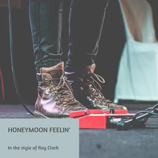 Karaoke Honeymoon Feelin' by Roy Clark — sing along with lyrics on Singa