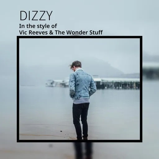 Karaoke Dizzy by Vic Reeves & The Wonder Stuff — sing along with lyrics on Singa