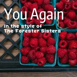 Titelbild für You Again - The Forester Sisters Karaoke-Version