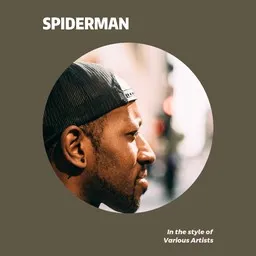 Cover art for Spiderman - Various Artists karaoke version