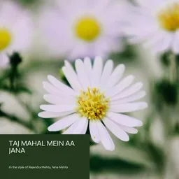 Titelbild für Taj mahal mein aa jana - Nina Mehta,Rejendra Mehta Karaoke-Version