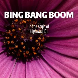 Cover art for Bing Bang Boom - Highway 101 karaoke version