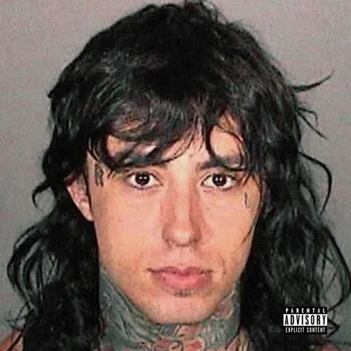 Karaoke Last Resort esittäjältä Falling In Reverse — laula mukana sanoituksilla Singassa
