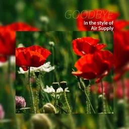 Cover art for Goodbye - Air Supply karaoke version