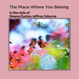 Titelbild für The Place Where You Belong - Jeffrey Osborne,Sheena Easton Karaoke-Version