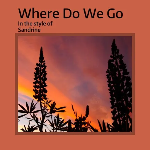 Karaoke Where Do We Go von Sandrine — mit Songtext mitsingen auf Singa