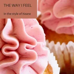 Cover art for The Way I Feel - Keane karaoke version