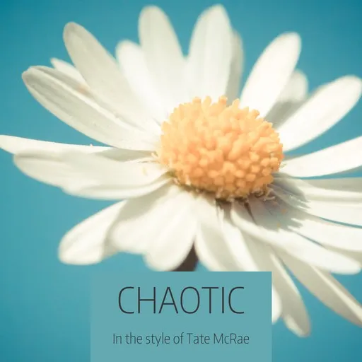Karaoke Chaotic esittäjältä Tate McRae — laula mukana sanoituksilla Singassa