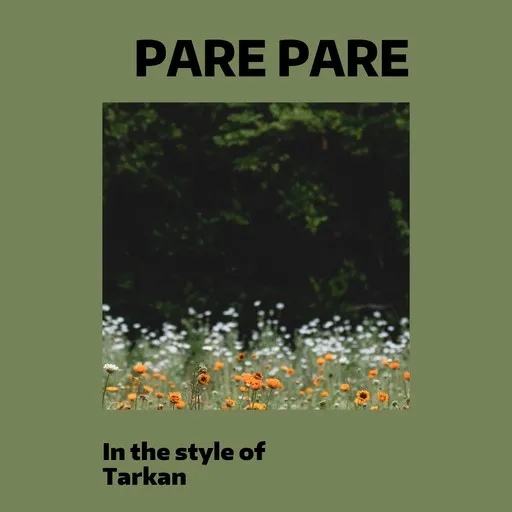 Karaoke Pare Pare by Tarkan — sing along with lyrics on Singa