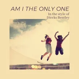 Cover art for Am I The Only One - Dierks Bentley karaoke version