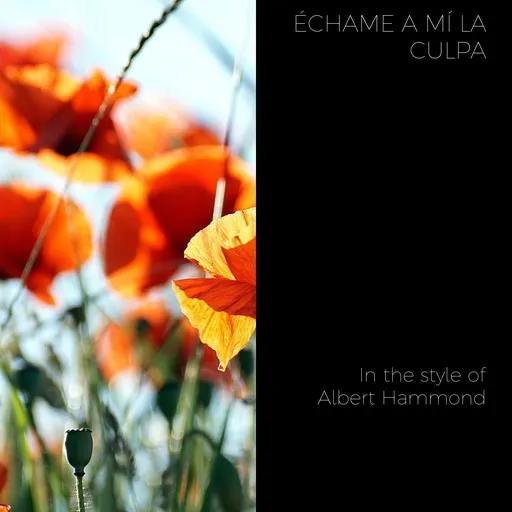 Karaoke Échame a Mí la Culpa von Albert Hammond — mit Songtext mitsingen auf Singa