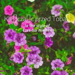 Cover art for Klęcząc przed Tobą - Czesław Niemen karaoke version