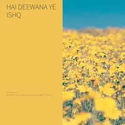 Cover art for Hai Deewana Ye Ishq - Anuradha Paudwal,Babul Supriyo,Dhai Akshar Prem Ke karaoke version