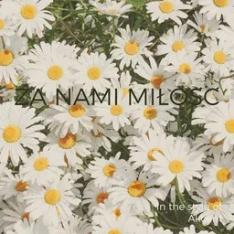 Cover art for Za Nami Miłość - Akcent karaoke version