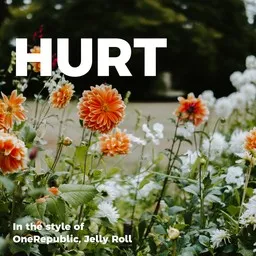 Cover art for Hurt - Jelly Roll,OneRepublic karaoke version