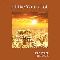 Titelbild für I Like You a Lot - Jake Owen Karaoke-Version