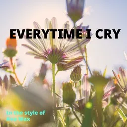 Cover art for EveryTime I Cry - Ava Max karaoke version
