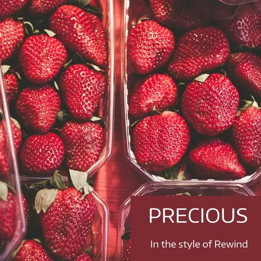 Precious - Karaoke
