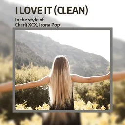 Cover art for I Love It (clean) - Charli XCX,Icona Pop karaoke version