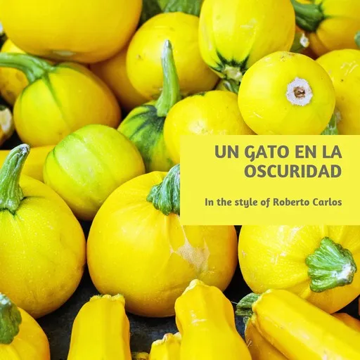 Un Gato En La Oscuridad - Karaoke