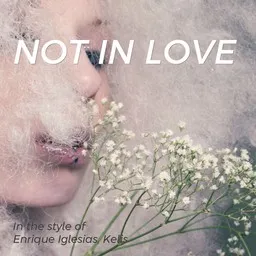 Titelbild für Not In Love - Enrique Iglesias,Kelis Karaoke-Version