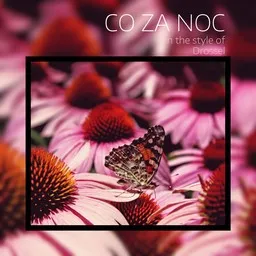 Cover art for Co za noc - Drossel karaoke version
